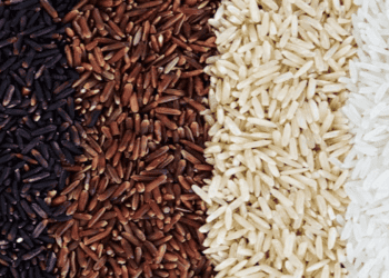 Vietnam’s Rice Export Prices Remain Global Leader