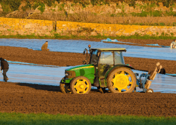 Horana Plantations Achieves Compliance with EU Deforestation Regulations