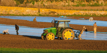 Horana Plantations Achieves Compliance with EU Deforestation Regulations