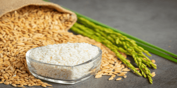 Improved Demand Boosts Rice Export Rates in Thailand and India