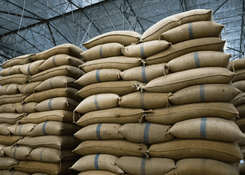 Vietnam Achieves a Record $5 Billion in Rice Exports (1)