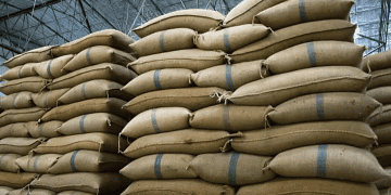 Vietnam Achieves a Record $5 Billion in Rice Exports (1)