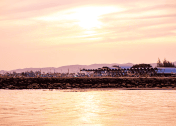 Reflecting on Two Decades Since the Aceh Tsunami From Tragedy to Resilience