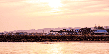 Reflecting on Two Decades Since the Aceh Tsunami From Tragedy to Resilience