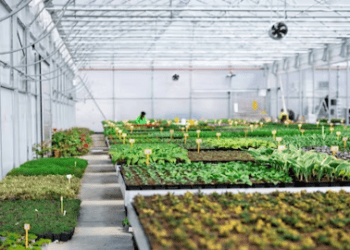 Organics Europe Urges EU to Advance Sustainable Agri-Food Vision