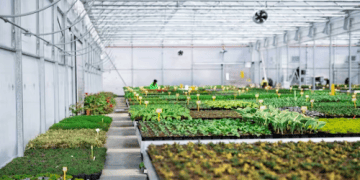 Organics Europe Urges EU to Advance Sustainable Agri-Food Vision