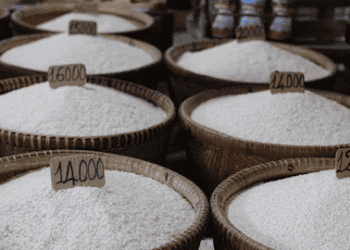 House Panel Investigates Market Practices Among Rice Importers Amid Tariff Cuts