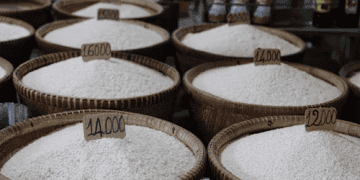 House Panel Investigates Market Practices Among Rice Importers Amid Tariff Cuts