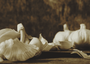 Peruvian Garlic Exports Show Growth in November 2024