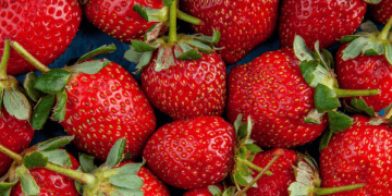 Japan Resumes Strawberry Exports to the Philippines