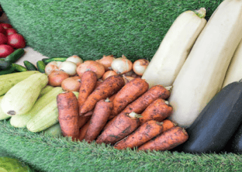 Vietnam's Agricultural Exports Set New Record in 2024