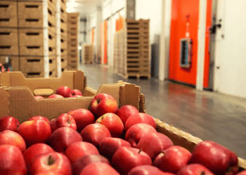 Vietnam Enhances Fruit Imports from the United States to Address Growing Demand (1)