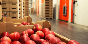 Vietnam Enhances Fruit Imports from the United States to Address Growing Demand (1)