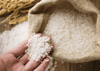 Agriculture Department Looks to Remove Brand Labels from Imported Rice to Tackle Price Issues