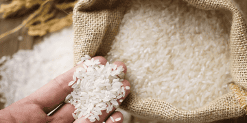 Agriculture Department Looks to Remove Brand Labels from Imported Rice to Tackle Price Issues