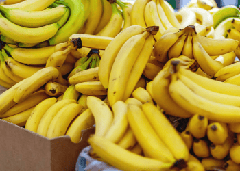 Philippines-South Korea Free Trade Agreement to Lower Tariffs on Banana Exports