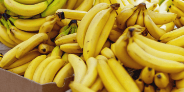 Philippines-South Korea Free Trade Agreement to Lower Tariffs on Banana Exports