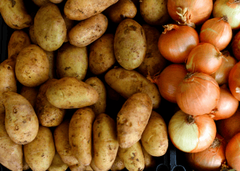 Bangladesh Investigates Alternative Sources for Onion and Potato Imports, Considering Pakistan