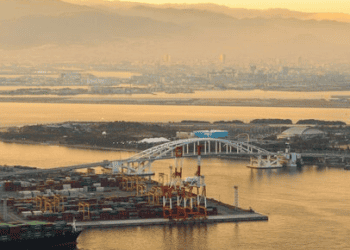 Nansha Port Achieves Major Milestone in Container Throughput