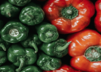 Vietnamese Pepper: Decline in Volume, Surge in Value