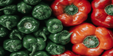 Vietnamese Pepper: Decline in Volume, Surge in Value