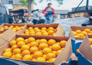 Malaysia Lifts Laboratory Testing Requirement for Orange Exports