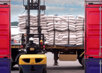 Rice Import Volume Reaches 4.8 Million MT in 2024