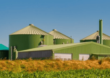 AM Green Partners with DP World to Develop Green Fuels Supply Chain