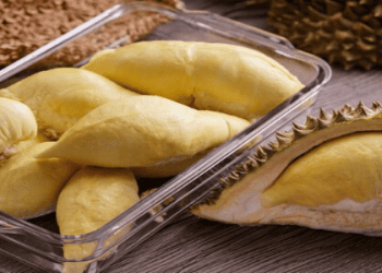 Thai Durian Exports to China Set to Resume by Monday