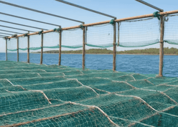 Manufacturing Industry in India Sees Rise in Workplace Satisfaction to 87%: Report