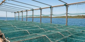 Manufacturing Industry in India Sees Rise in Workplace Satisfaction to 87%: Report