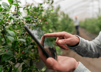 The Increasing Need for Risk Management in Farming