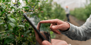 The Increasing Need for Risk Management in Farming