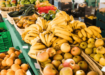 South Korea Extends Tariff Exemptions on Imported Fruits to Combat Food Price Inflation