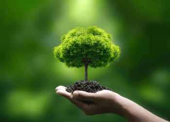 Lenovo's Commitment to Climate Risk Management and Clean Air Initiatives