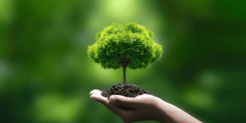 Lenovo's Commitment to Climate Risk Management and Clean Air Initiatives