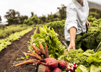 Colombia Approves $43 Billion Agricultural Financing and Risk Policy for 2025