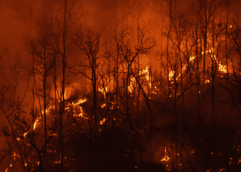 Announcement of Funding Opportunities for Bushfire Mitigation Projects