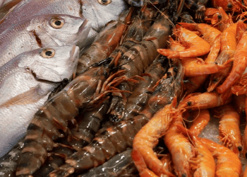 Japan Asks China to Lift Seafood Import Ban