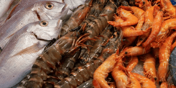 Japan Asks China to Lift Seafood Import Ban