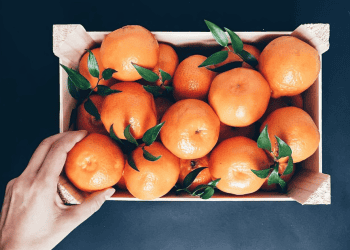 Brazil's Orange Juice Exports Fall by 20% in 2024