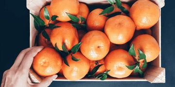 Brazil's Orange Juice Exports Fall by 20% in 2024