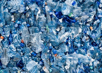 EU Plastic Waste Exports to Asia and Turkey Keep Growing