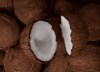 COCOCO from Thailand Expands into the Philippines to Improve Supply Chain