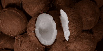 COCOCO from Thailand Expands into the Philippines to Improve Supply Chain