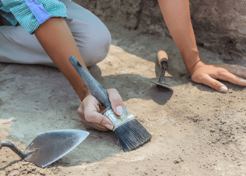 Controversy Surrounds the Discovery of the Xenodens Calminechari Fossil Amid Allegations of Fraud