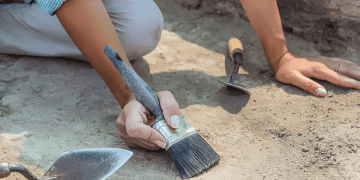 Controversy Surrounds the Discovery of the Xenodens Calminechari Fossil Amid Allegations of Fraud