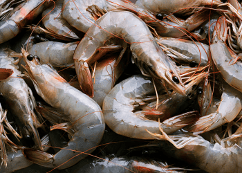 China's Shrimp Imports Rise in December, Easing Annual Drop