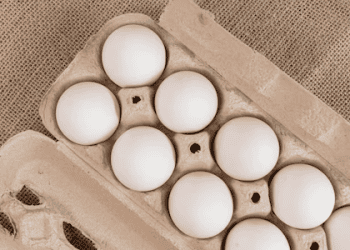 Egg Prices Rise Sharply, Impacting Syracuse Businesses and Consumers