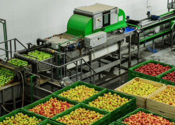 Industry Warns Inheritance Tax Changes Could Impact Food Supply Chains